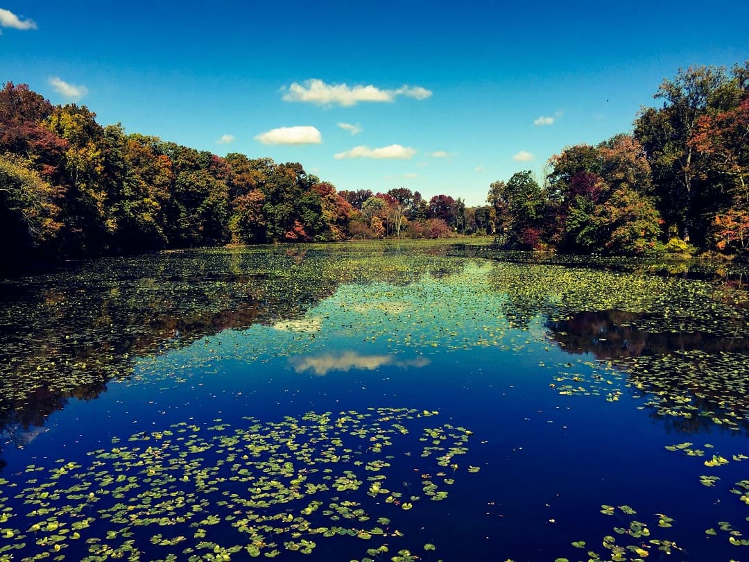 Delaware