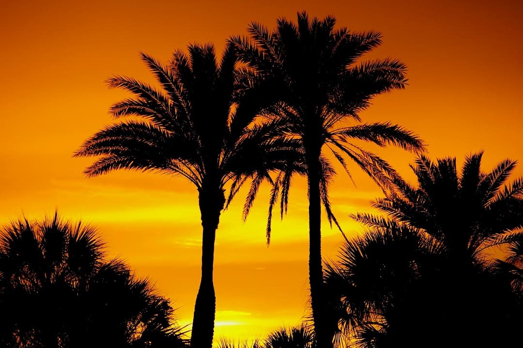 Florida gallery 1
