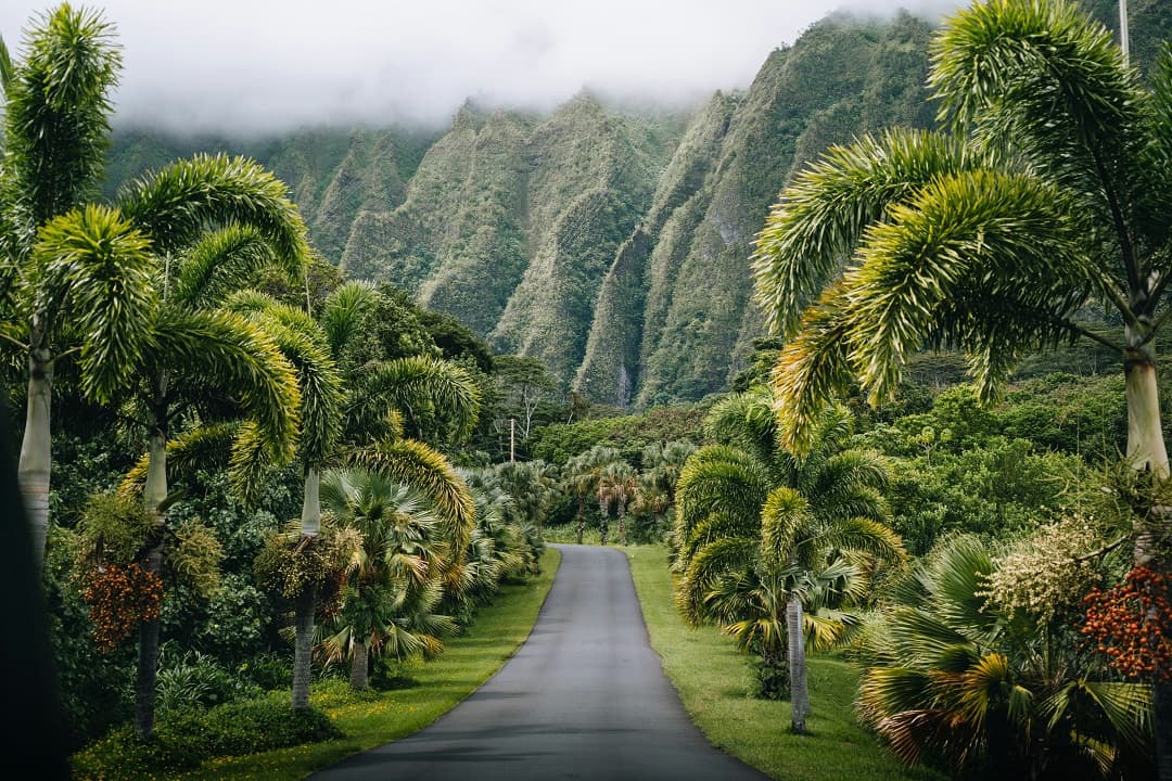 Hawaii gallery 3