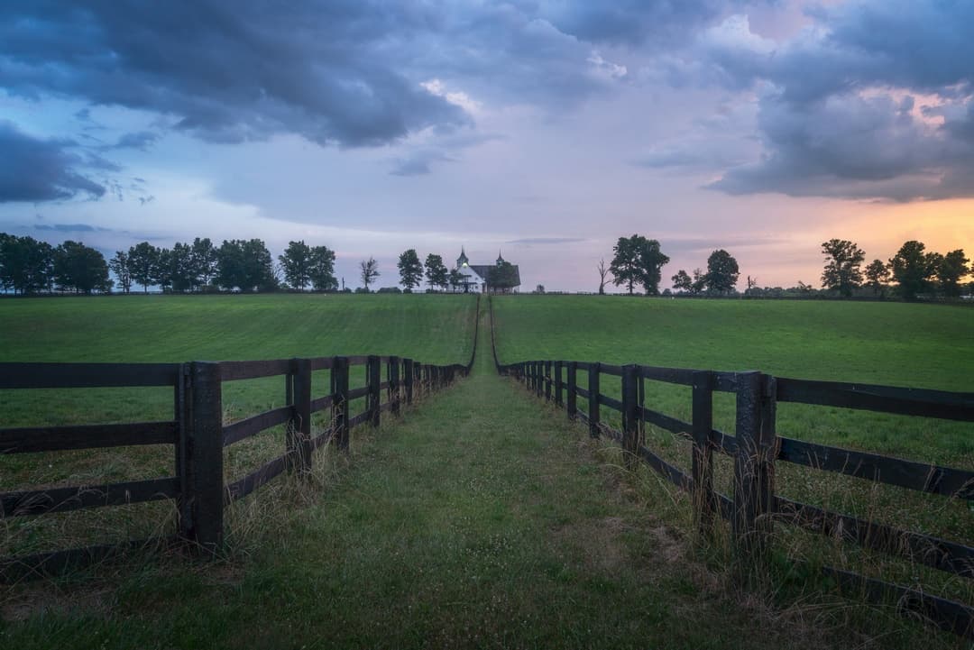Kentucky gallery 1