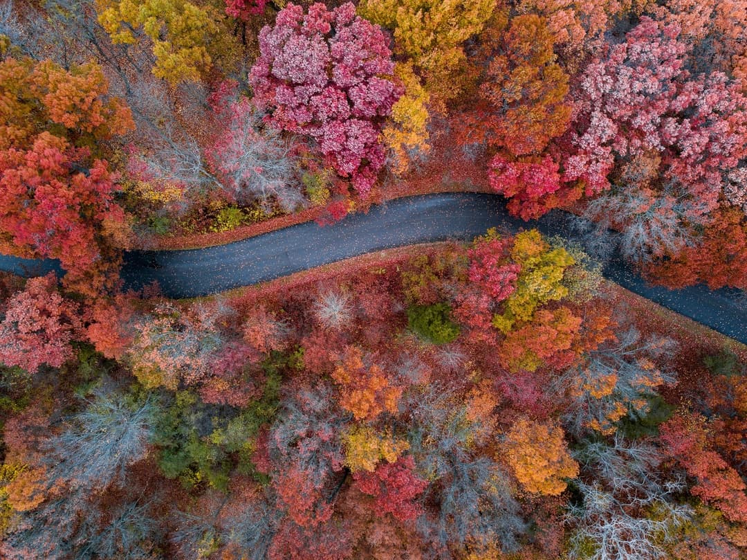 Michigan gallery 1