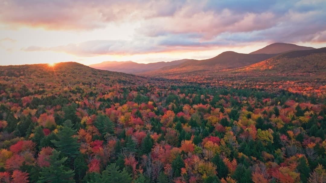 New Hampshire