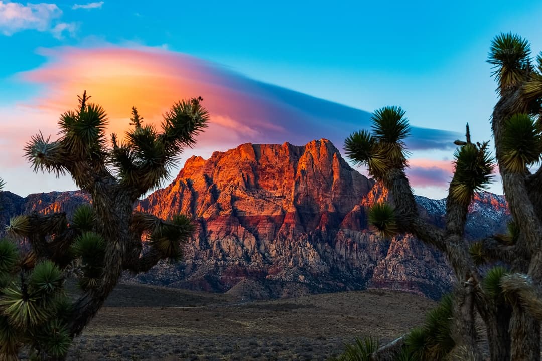 New Mexico gallery 2