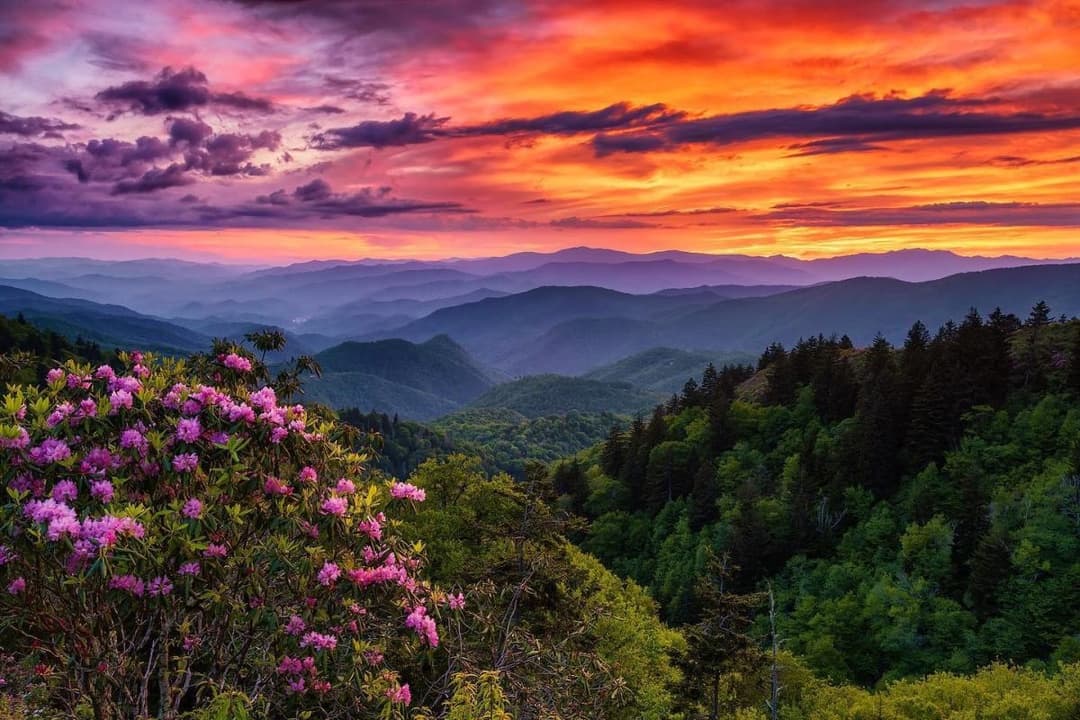 North Carolina gallery 2